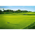 Twin Doves Golf Club - TP.HCM, Việt Nam