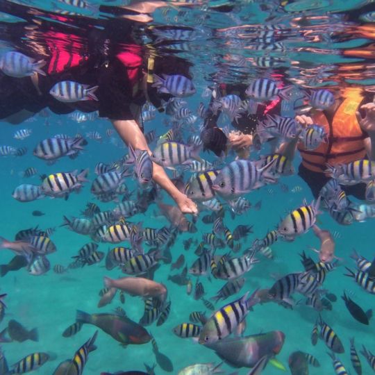 Tour Mini Beach - Tour Riêng Nha Trang