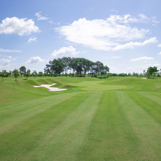 SÂN GOLF HARMONIE - BÌNH DƯƠNG