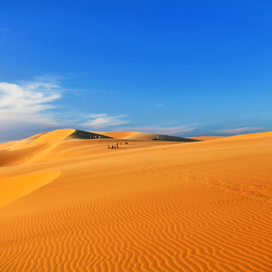 Xe Thuê Riêng Đi Một Chiều Hoặc Khứ Hồi Từ Hồ Chí Minh Đến Mũi Né