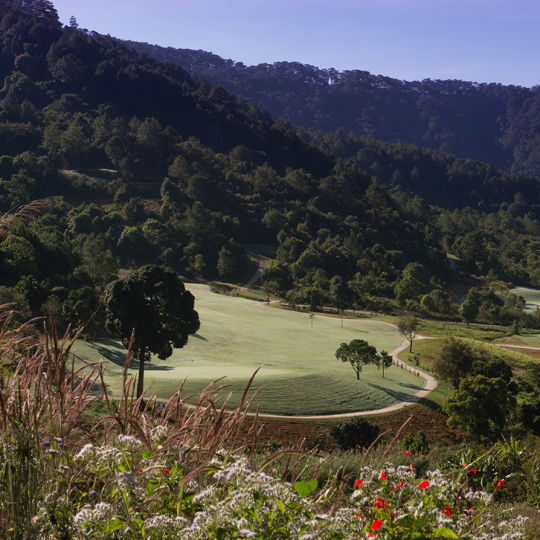  The Dàlat At 1200 – Sân Golf 18 Hố (Bao Gồm Phí Green, Caddy, Cart