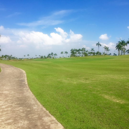  Sân Golf Taekwang Jeongsan CC - Điểm Đến Lý Tưởng Cho Golfer Tại Tp.HCM!