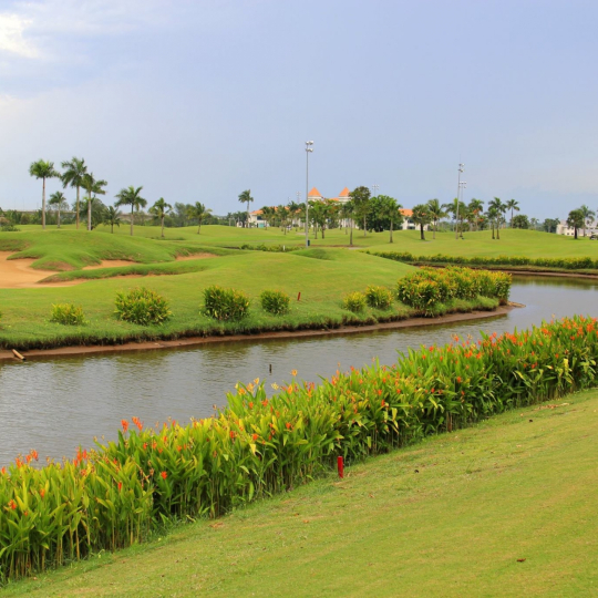  Sân Golf Taekwang Jeongsan CC - Điểm Đến Lý Tưởng Cho Golfer Tại Tp.HCM!