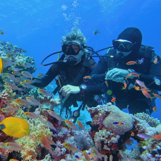 Tour Island Hopping Nha Trang - Amazing Snorkeling