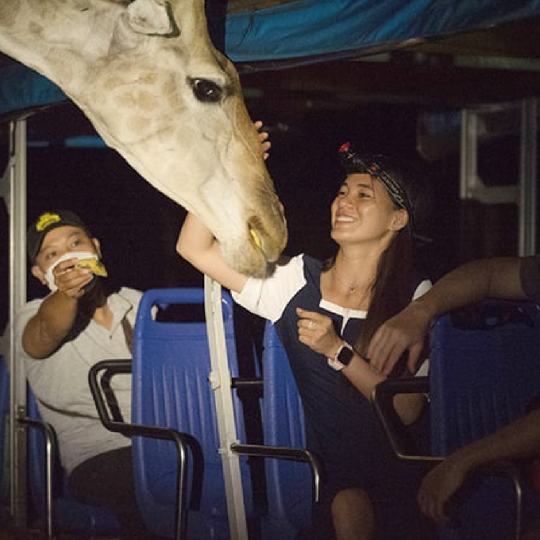 Tour Night Safari Vinpearl Phú Quốc