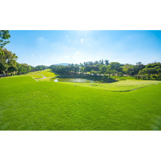 Sân Golf Paradise Vũng Tàu