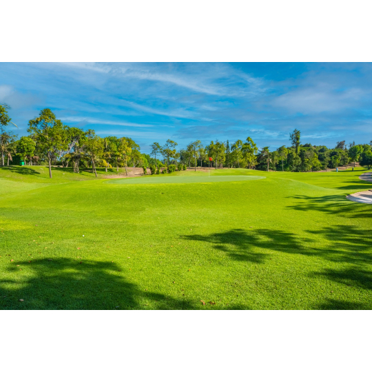 Sân Golf Paradise Vũng Tàu