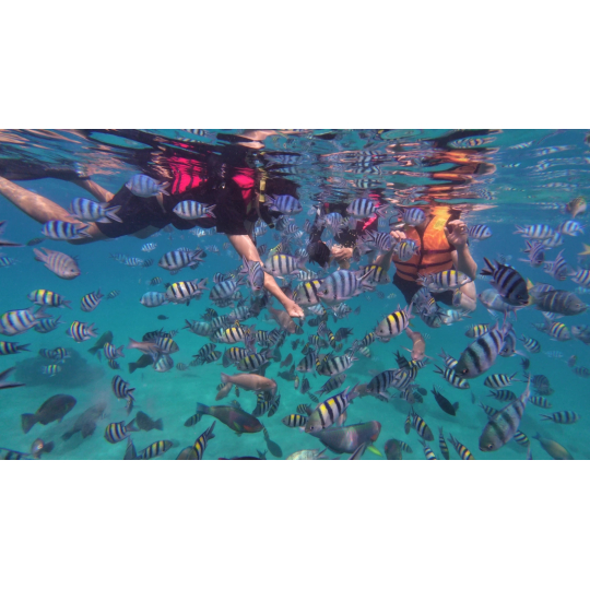 Tour Mini Beach - Tour Riêng Nha Trang