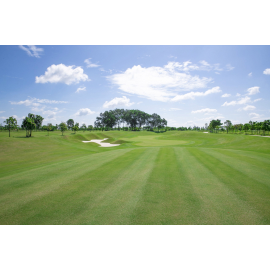 SÂN GOLF HARMONIE - BÌNH DƯƠNG