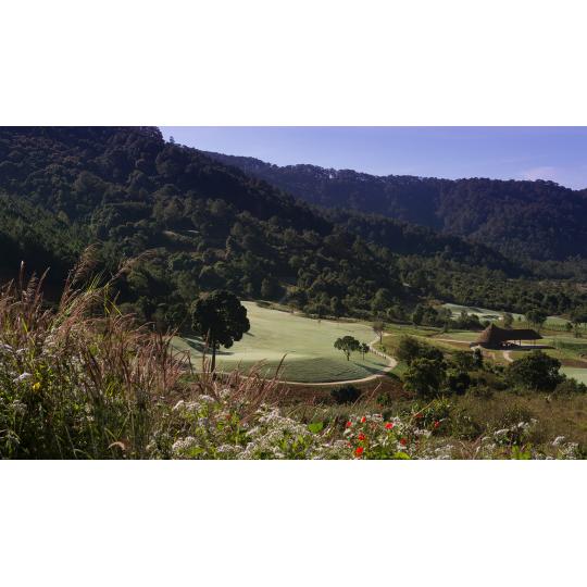  The Dàlat At 1200 – Sân Golf 18 Hố (Bao Gồm Phí Green, Caddy, Cart