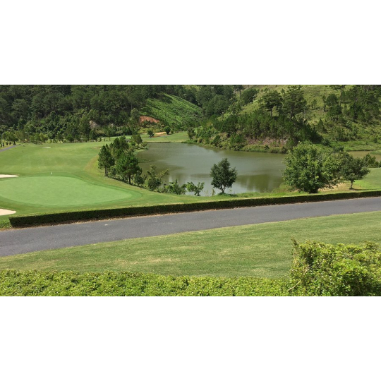Sân Golf Đà Lạt  SAM Tuyền Lâm CC - 18 Hố,  Bao Gồm Phí Green, Phí Caddy Và Phí Xe Điện