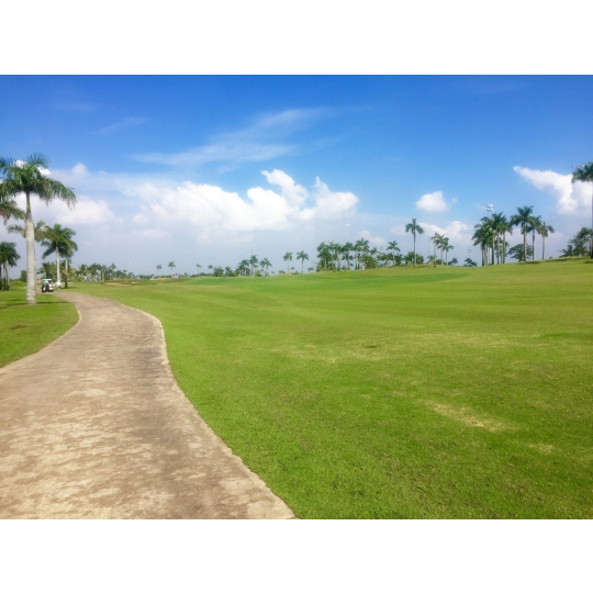  Sân Golf Taekwang Jeongsan CC - Điểm Đến Lý Tưởng Cho Golfer Tại Tp.HCM!